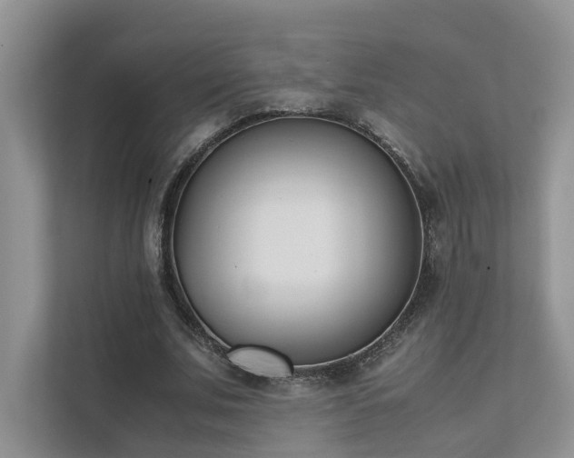 X0000111780679200907231123