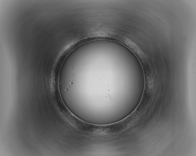 X0000111780680200907231123