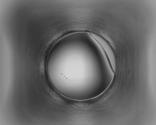 X0000111780681200907231123