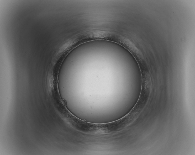 X0000111780683200907231123