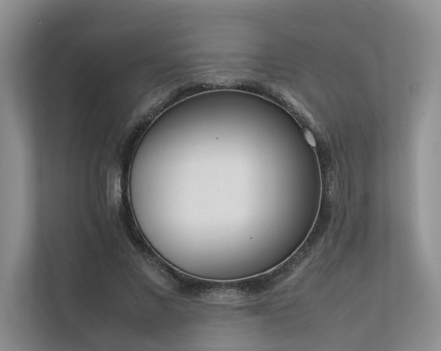 X0000111780685200907231123
