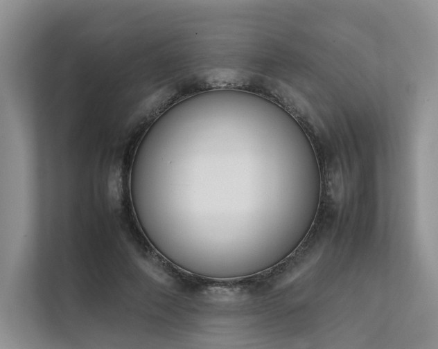 X0000111780690200907231123