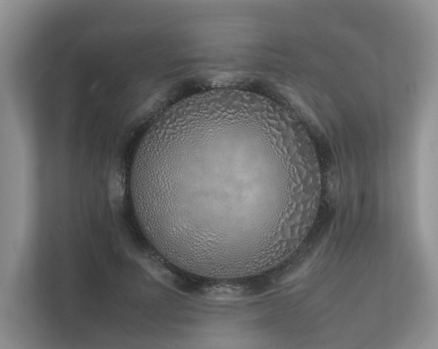 X0000111780691200907231123