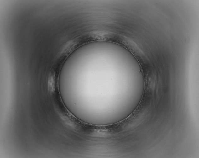 X0000111780694200907231123