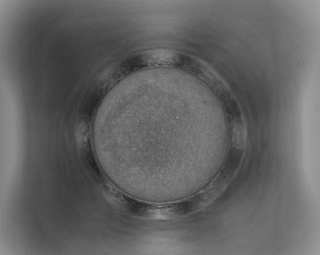 X0000111780701200907231123