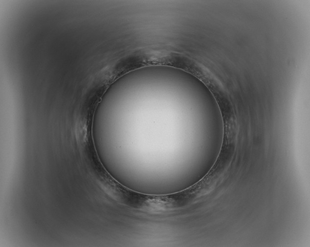 X0000111780703200907231123