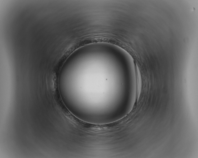 X0000111780712200907231123