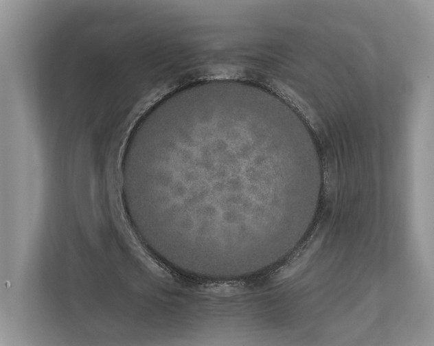 X0000111780721200907231122