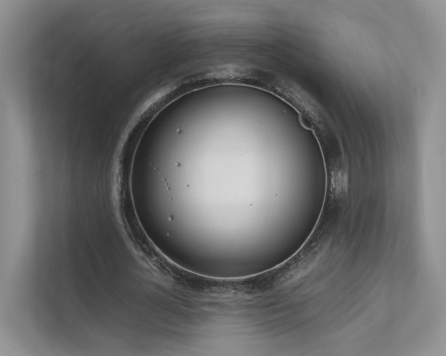 X0000111780724200907231122