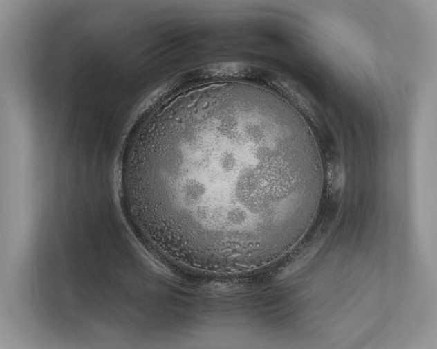 X0000111780725200907231122
