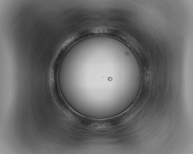 X0000111780727200907231122