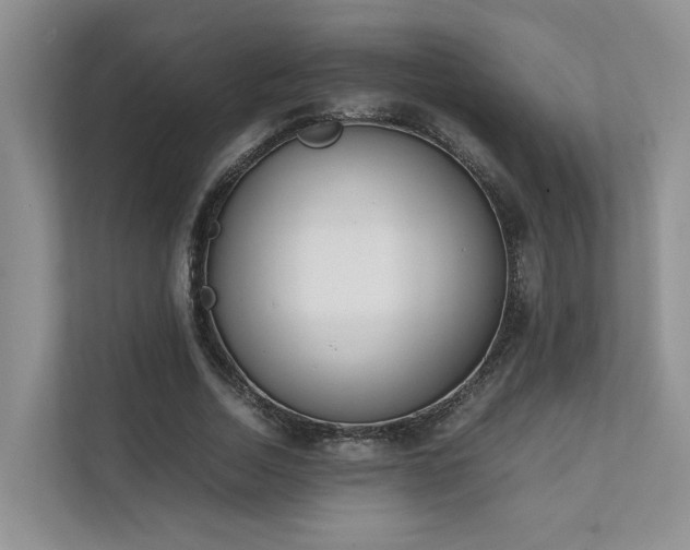 X0000111780730200907231122