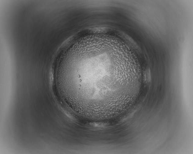 X0000111780733200907231122