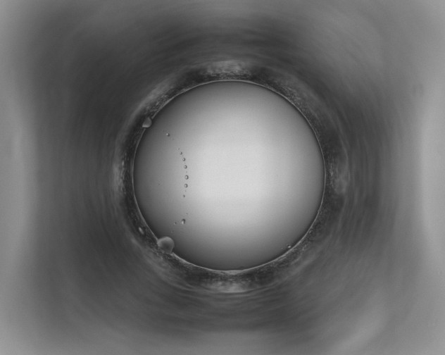 X0000111780735200907231122