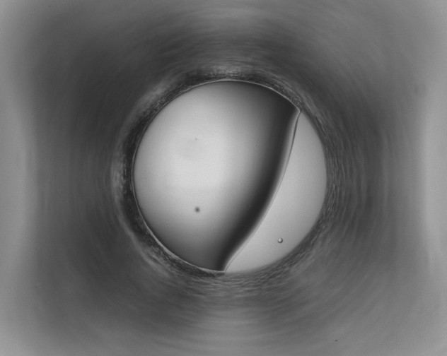 X0000111780736200907231122