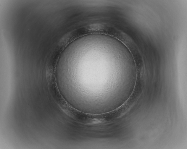 X0000111780737200907231122