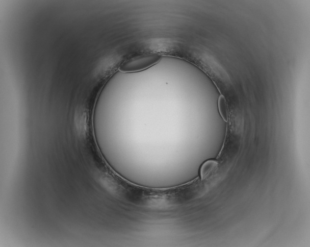 X0000111780740200907231122
