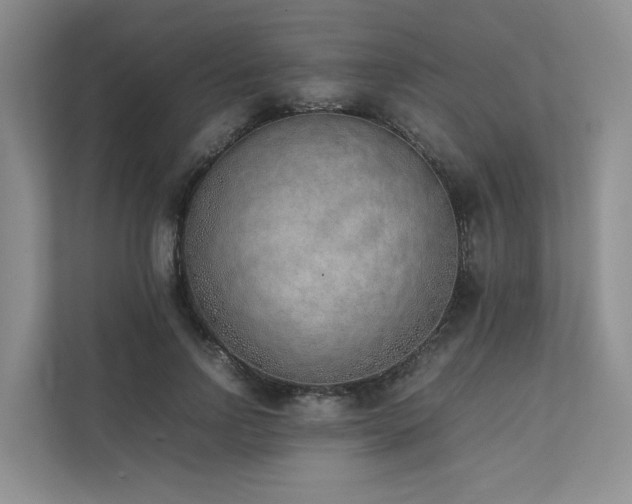 X0000111780742200907231122