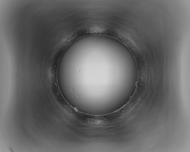 X0000111780743200907231122