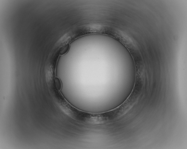 X0000111780744200907231122