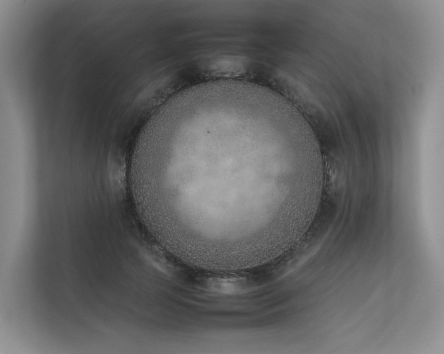 X0000111780745200907231122