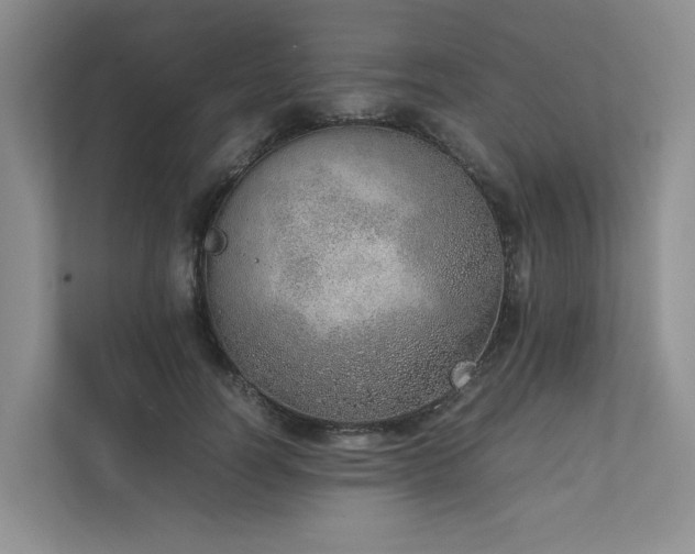 X0000111780746200907231122