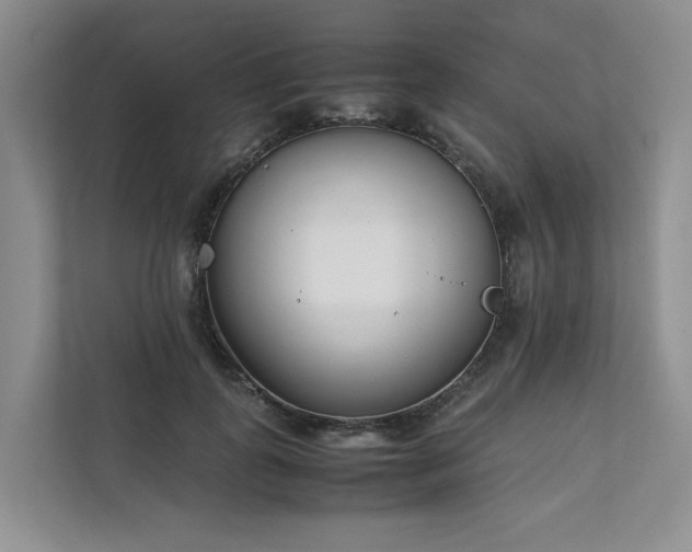 X0000111780747200907231122