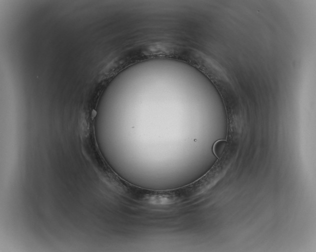 X0000111780751200907231122