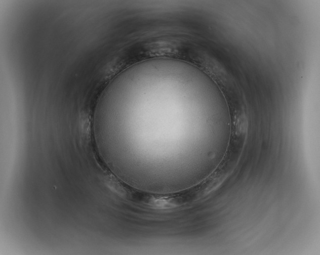 X0000111780753200907231122