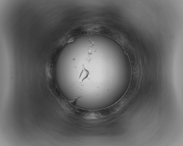 X0000111780755200907231122
