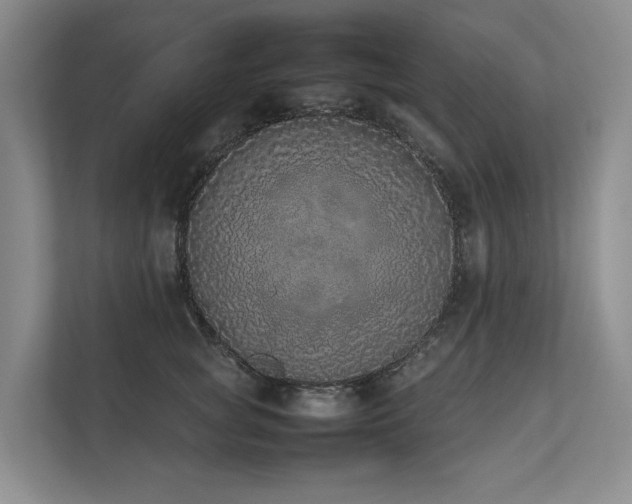 X0000111780757200907231122