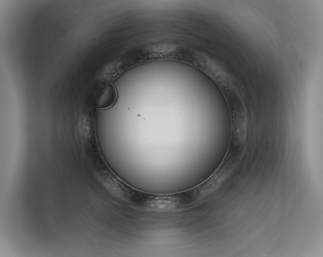 X0000111780758200907231122