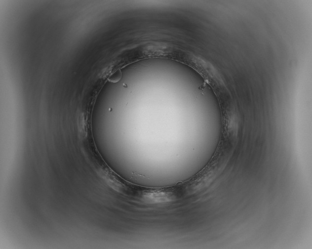 X0000111780759200907231122