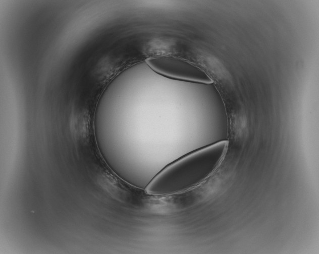 X0000111780760200907231123