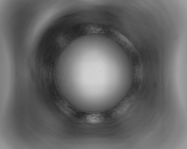 X0000111780761200907231123