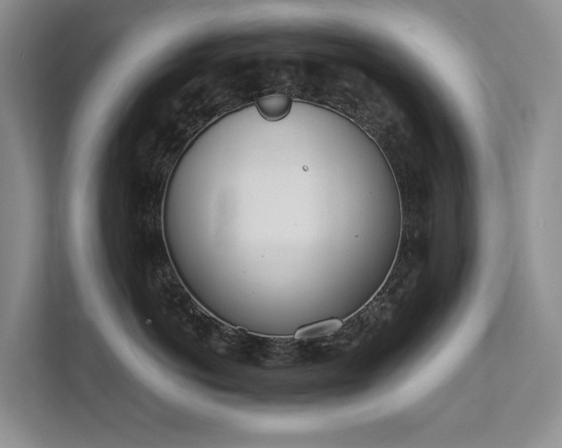 X0000111780766200907231123