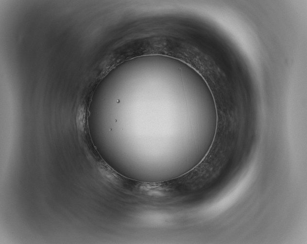X0000111780767200907231123