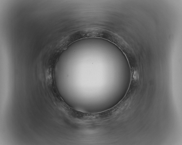 X0000111780771200907231122