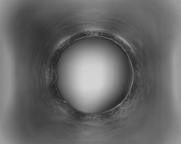 X0000111780775200907231122