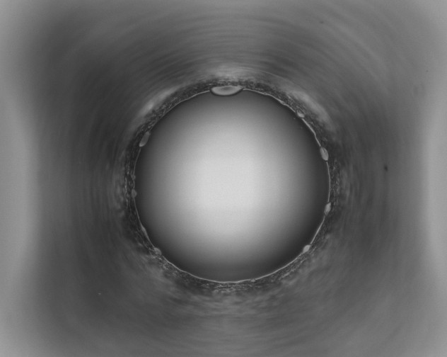 X0000111780776200907231122