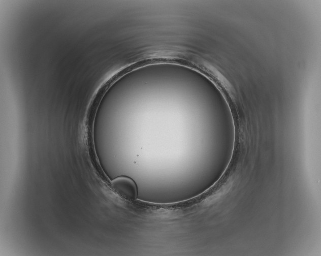 X0000111780779200907231122
