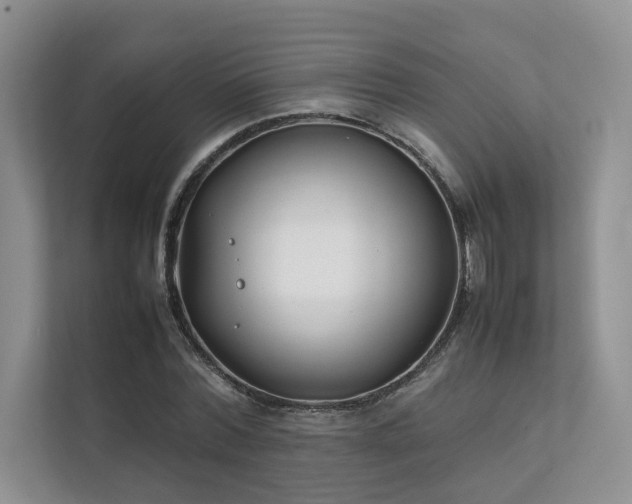 X0000111780780200907231122