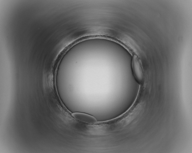 X0000111780781200907231122