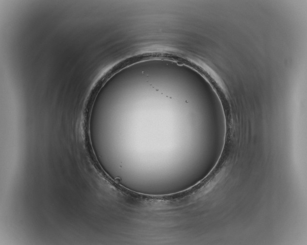 X0000111780783200907231122