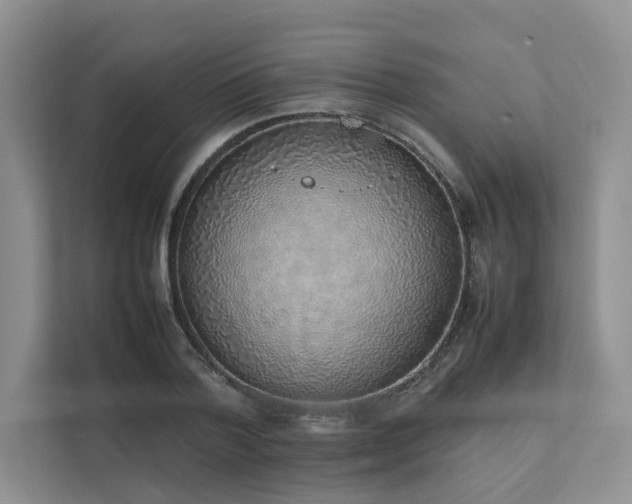 X0000111780788200907231122