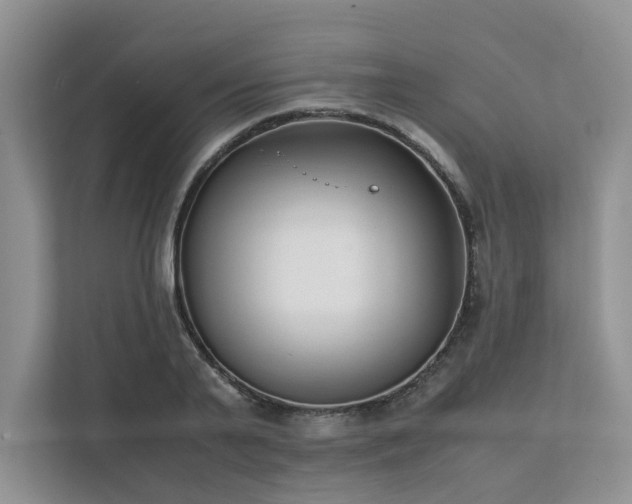 X0000111780791200907231122