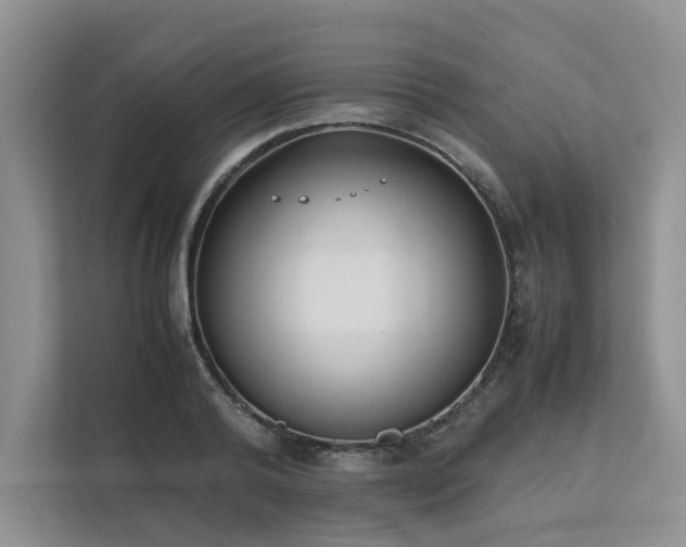 X0000111780792200907231122