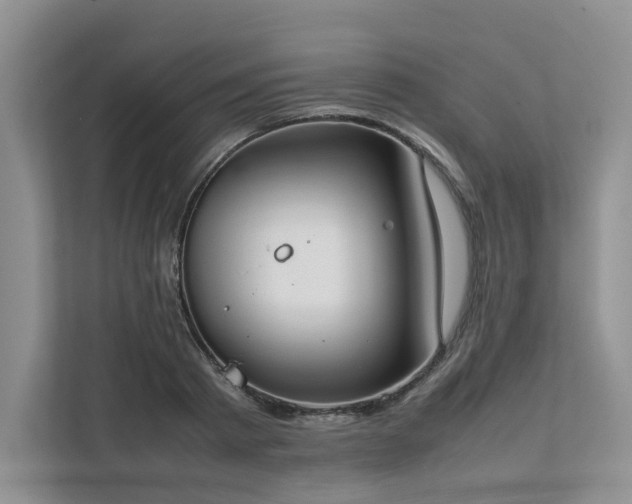 X0000111780793200907231122