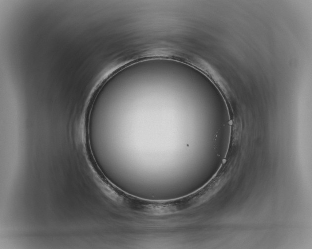 X0000111780795200907231122