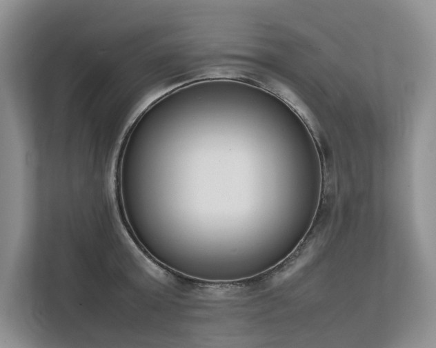 X0000111780803200907231122